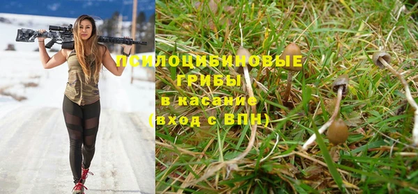 стаф Алзамай