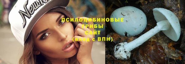 тгк Алексин