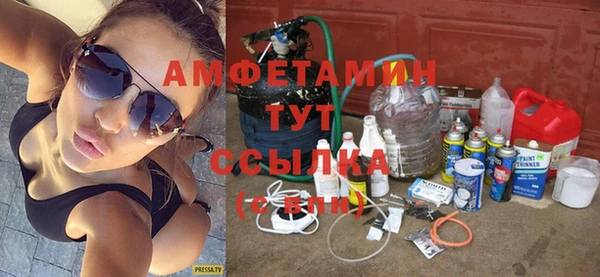стаф Алзамай