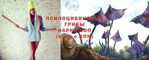 дурь Семикаракорск