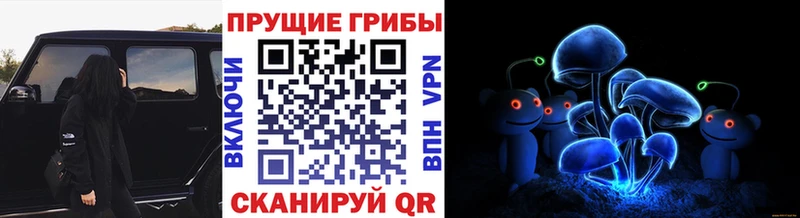 Галлюциногенные грибы ЛСД  наркотики  Междуреченск 